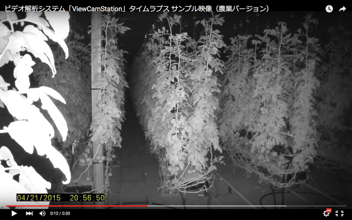 ビデオ解析システム「ViewCamStation」タイムラプス サンプル映像（農業バージョン）